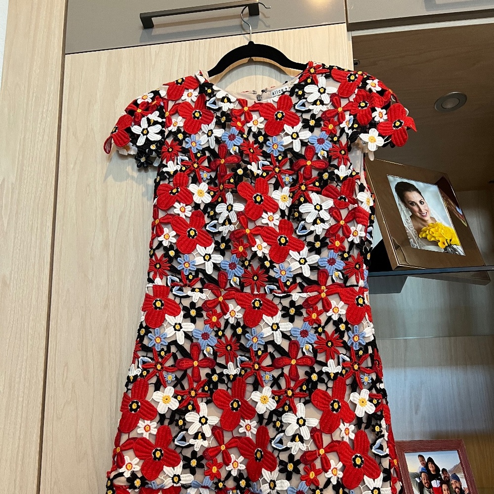 Alice and olivia dress